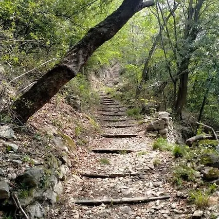 Διαμέρισμα La Tana Al A Due Passi Dal Μενάτζιο